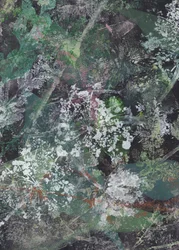 Dark Floral Abstract