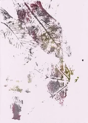 Earthy Botanical Impressions