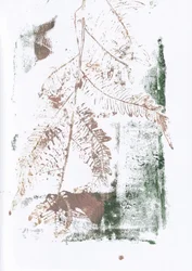 Earthy Fern Impressions