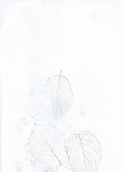 Ethereal White Leaves