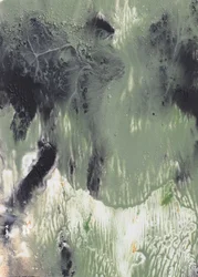 Fluid Green Abstract