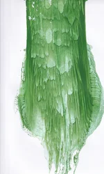 Fluid Green Abstract