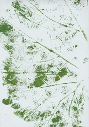 Green Leaf Impression