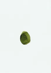 Organic Green Fluid