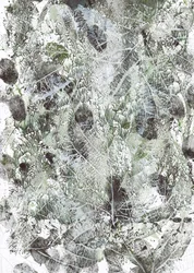 Organic Leaf Imprints