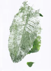Organic Leaf Print