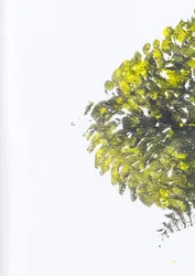 Vibrant Green Texture