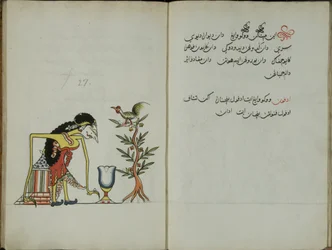 Wukon Jawa, MS 41 p.54, image 27