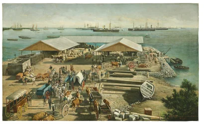 Disembarkation of the American at Ponce, Puerto Rico, 27th July 1898