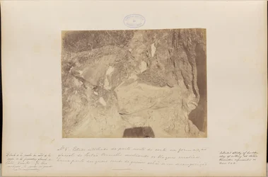 Detailed Study of the Northern Part of the Map in the Glacial Formation of the Red Gate