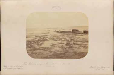 Study of the Reef of Pernambuco at Barreta