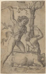 Hercules and Nessus