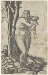 Venus Standing on the Shore and Wringing Water from Her Hair