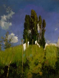 Meadow of laundry