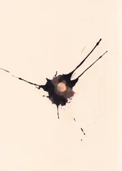Blot 2