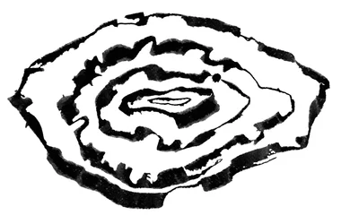 Isoipse