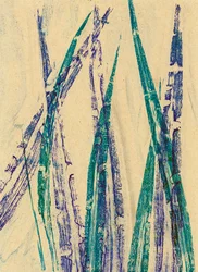 Wild Oats