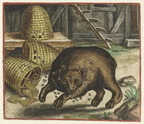 Fable of the Bear and the Bees