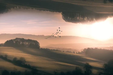 Misty Inverted Hills Flight