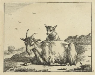 Lying Goat with Lamb