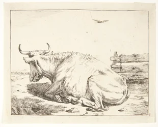 Lying Cow
