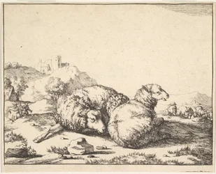 Sheep, from a Set of 16 Plates