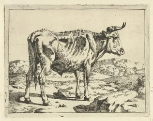Bull Standing by Rock Cattle and Pigs (series title)