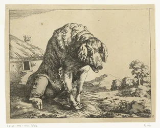 Pig Sitting on Hind Legs, Predators and Swine (series title)