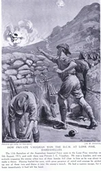 How Private Vaughan Won the DCM at Lone Pine Dardanelles August 1915