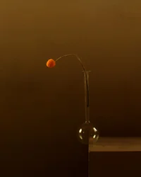 Minimalist Orange Flower