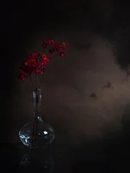 Moody Red Flowers