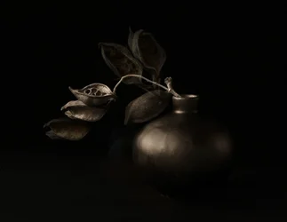 Moody Seed Pods