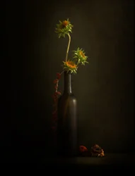Moody Sunflower Still Life