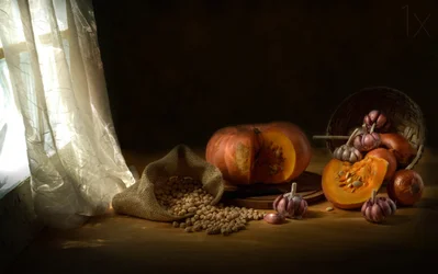 Autumn Kitchen Harvest