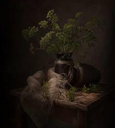 Dark Botanical Still Life