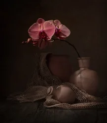 Dark Orchid Still Life