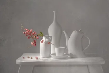 Delicate Pink Still Life