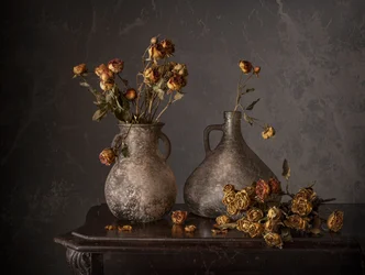 Dried Roses Still Life