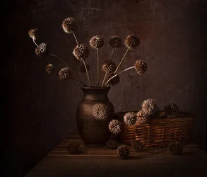 Earthy Dried Flowers