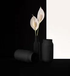 Elegant Floral Contrast