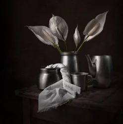 Elegant Peace Lilies