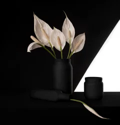 Elegant Peace Lily Contrast