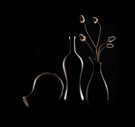 Elegant Still Life Silhouettes