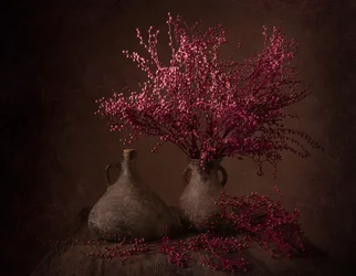 Moody Magenta Branches