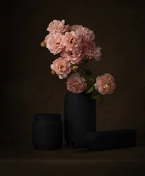 Moody Pink Roses
