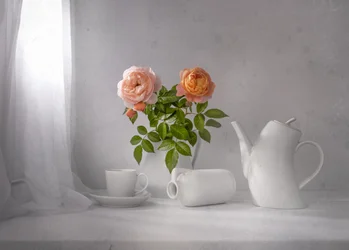 Morning Rose Tea