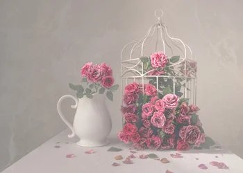 Roses and Birdcage