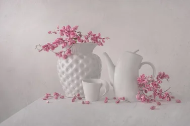 Soft Pink Still Life