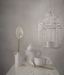 White Birdcage Peace Lilies