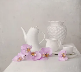 White Orchid Still Life